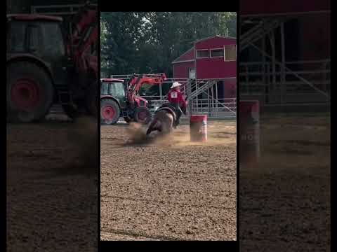 Starting to figure him out #blowup #horse #barrelracing #barrelhorse #barrelracer #rodeo #fyp #❤️