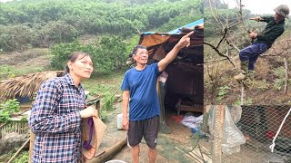 The mother was very happy that the pigs were growing up healthy. Ly Vy Ca