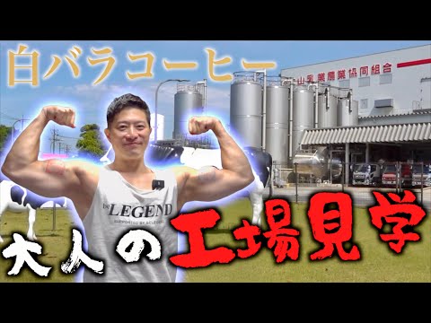 白バラコーヒー味のプロテインが発売されるぞ！