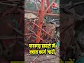 Gujarat News: Pavagadh हादसे में बचाव कार्य जारी #shorts #shortsvideo #viralvideo #aajtak  - 00:31 min - News - Video