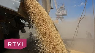 Россия vs Казахстан: рынок зерна становится полем битвы