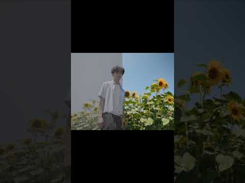 the power of color grading #cinematic #editing #colorgrading #davinciresolve