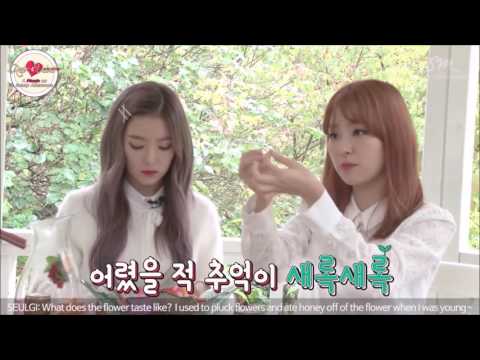 160927 Red Velvet A Picnic on Sunny Afternoon 고화질 합본
