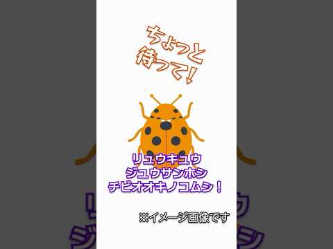 【バトル】7文字以上の生き物、何個言える？ #ばっキュモ #ぬいぐるみ #動物 #shorts