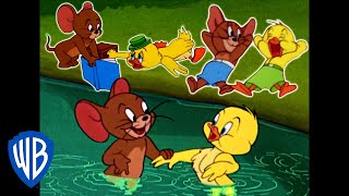Tom a Jerry - Jerry  a malá kachna