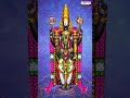 హరి హరి గోవిందా #LordVenkateshwaraSwamy #venkateshwaraswamysongs #telugubhaktisongs  - 01:00 min - News - Video