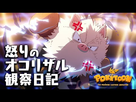 【公式】アニメ「怒りのオコリザル観察日記」【POKÉTOON】