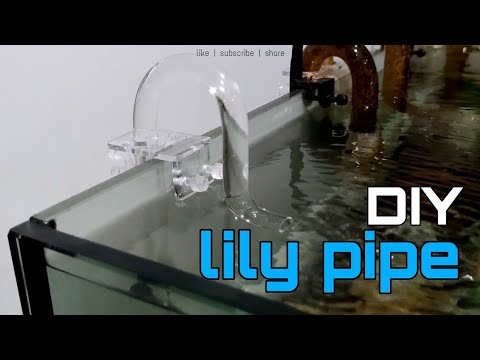 Bending my own Lily Pipe [Tutorial] Sharing another simple DIY tutorial video. Glass lily pipe can get difficult and break easily. PETG 