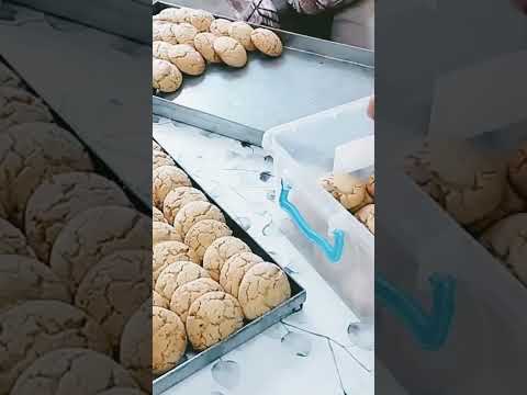 26 سبتمبر 2025