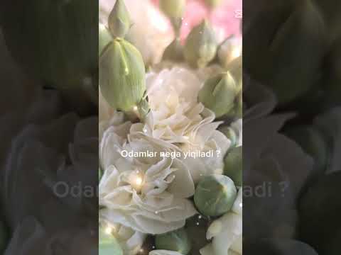 #flowers #buymyselfflowers #rose #bouquetmasterfloweshopph #floristic #florist #love #garden