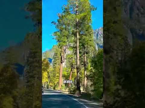 Praise #mysoul #god #lord #jesus #jesuslovesyou s