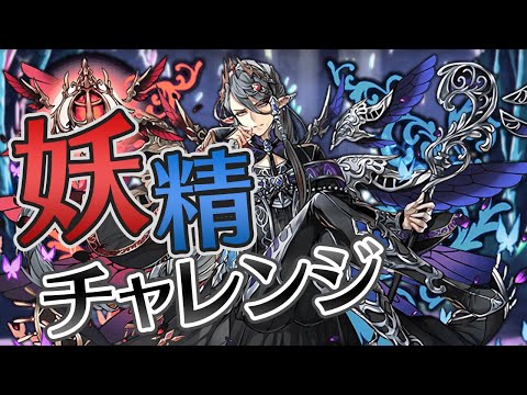【妖精チャレンジ】神秘の次元、初見チャレンジ【パズドラ】