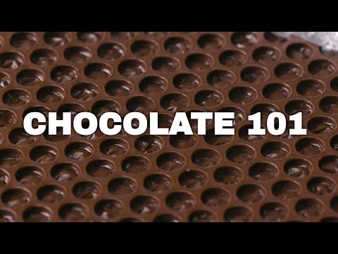 Everything You've Ever Wanted to Know About Chocolate, Explained