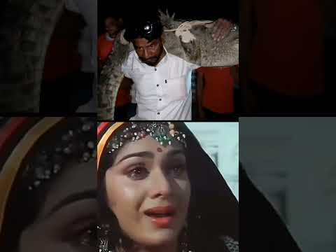 10 फीट लंबा व 80 से 100 किलो वजनी मगरमच्छ का रेस्क्यू🐊