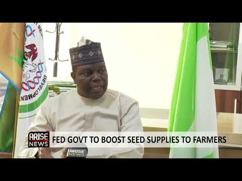 Increased Seed Production Will Tackle Nigeria’s Food Crisis – Abdullahi Mustapha