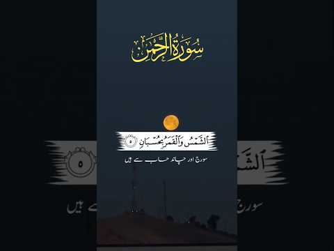 انسان کو بولنا سکھایا 🕊️ | Surah Ar-Rahman 4-6 #islamicshorts #foryou #quranshorts #viralvideo