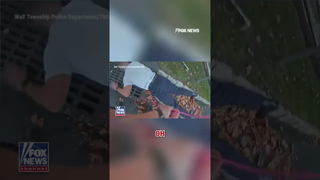 HEARTWARMING RESCUE: Police officers save a dog that fell into a storm drain #dog #shorts #rescue