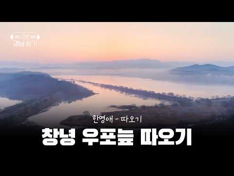[1분 경남 듣기] 창녕 우포늪 따오기 | 스크롤 (KBS 2026.08.25.화 방송)