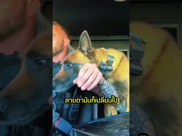 สุนัขเห็นก็อยากจะกินด้วย