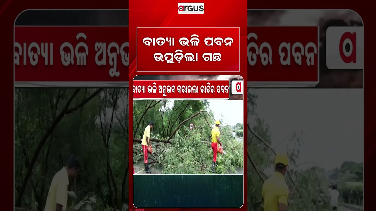 ବାତ୍ୟା ଭଳି ପବନ | Cyclone-Like Storm & Heavy Rain Lashes Bhubaneswar Overnight, Trees Uprooted