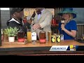 How to make the Black-eyed Susan  - 01:50 min - News - Video