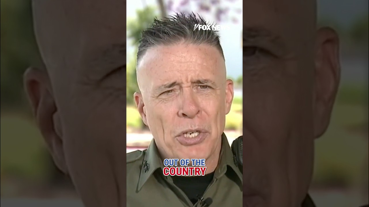 'GET THEM OUT': Border patrol sends message to California #shorts #california #losangeles #usa #news