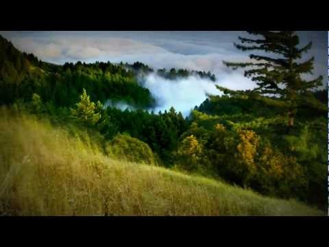 Music Music