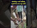 Touching Video: Police kind gesture towards thirsty baby monkey