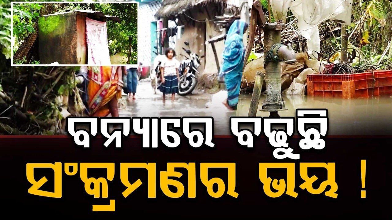 Odisha Flood Aftermath: Disease Threat Looms Due to Unsanitary Conditions & Mosquitoes | Argus News