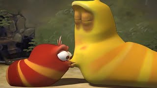 Larva - Oko