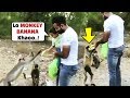 Irfan Pathan Son Imran Feeding Banana To Monkeys Will Melt your Heart