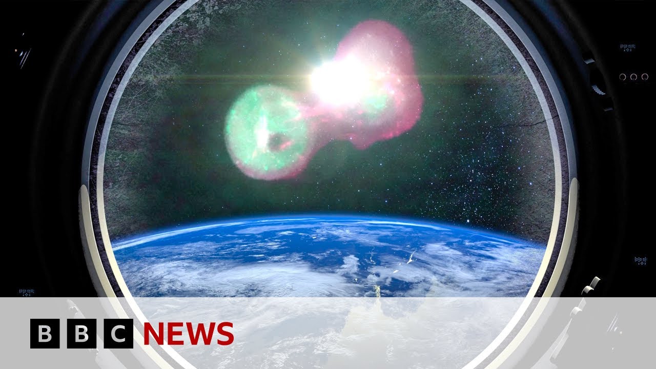 What happens when you send cancer into space? | BBC News