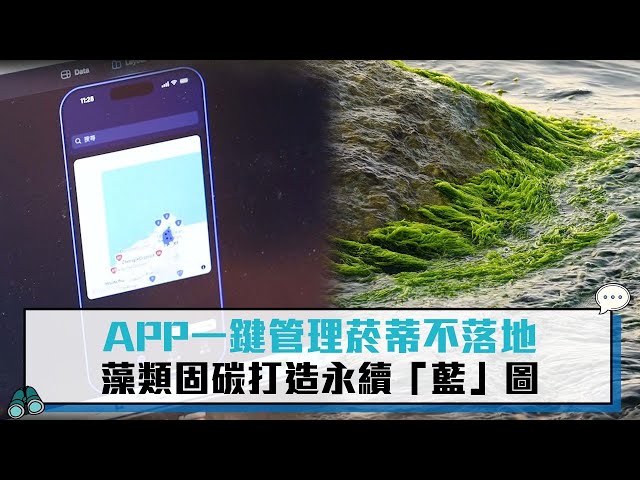 【聯發科技智在家鄉】APP一鍵管理菸蒂不落地 藻類固碳打造永續「藍」圖