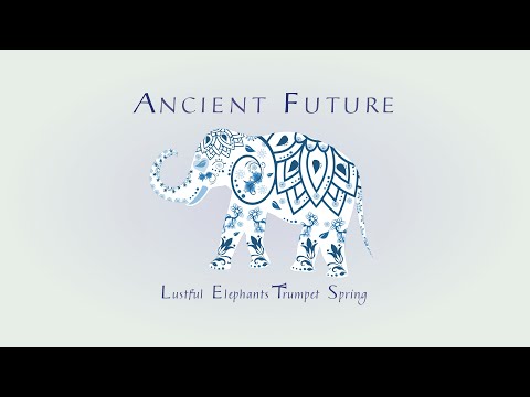 Ancient Future - Lustful Elephants Trumpet Spring (Live 6-12-21)