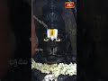 హనుమజ్జయంతి సందర్బంగా తిరుమలలో ఆంజనేయస్వామివారికి పంచామృతాభిషేకం      #hanumanjayanti #tirumala  - 00:54 min - News - Video