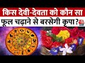 Bhagya Chakra: पूजा-उपासना में किस देवी-देवता को कौन सा फूल चढ़ाने से बरसेगी कृपा? जानें महत्व