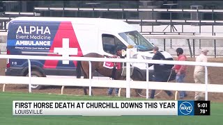 Horse euthanized at Churchill Downs after fracturing both front legs while training