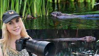 Finding Beavers at the River Otter