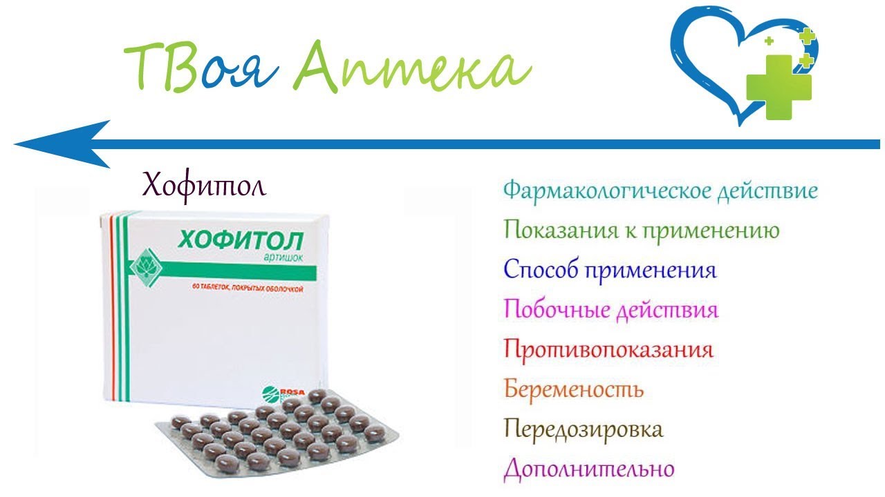 Хофитол Цена В Спб Столички