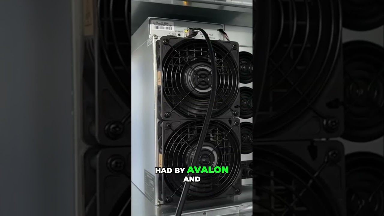 ASIC Miners: Unbelievable Noise Levels! You Won't Believe This! shorts