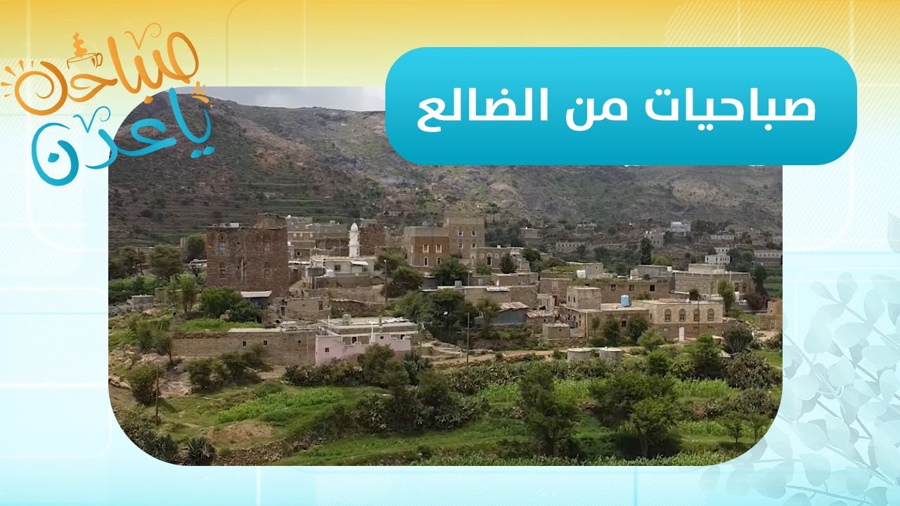 صباحك ياعدن | من الضالع.. مراسلنا رائد علي شائف ينقل واقع زراعة البن وأبرز المستجدات بالمحافظة