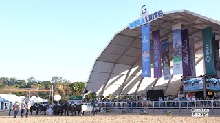 Genética, queijos e tecnologia foram destaques na Megaleite 2025
