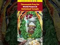Devotees Gather at Mahakaal Temple for Bhasma Aarti and World Peace Prayers