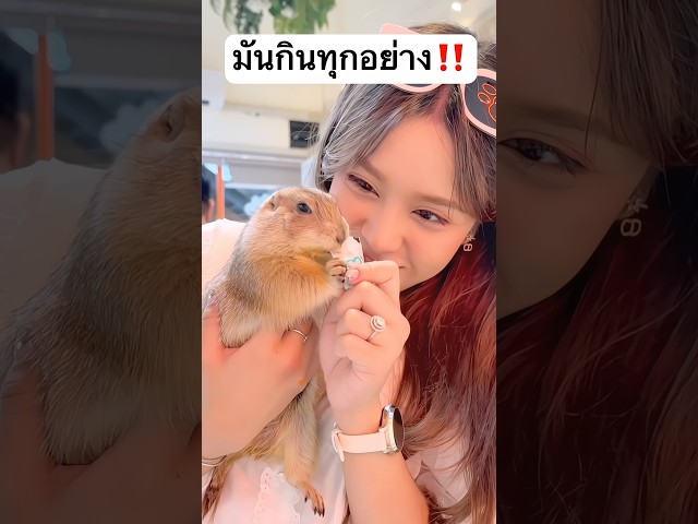 มันคือตัวอะไร? กินทุกอย่างเลย...!!!! #jamsai #jamsaijs #แจ่มใส