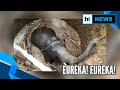 Watch: Baby elephant rescued from well using Archimedes’ law, Twitter reacts