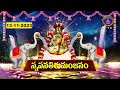 Sri Padmavati Ammavari Karthika Brahmotsavalu | Snapanatirumajanam | Tiruchanoor|13-11-2023 |SVBCTTD