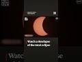 Watch a timelapse of the total eclipse  - 01:00 min - News - Video