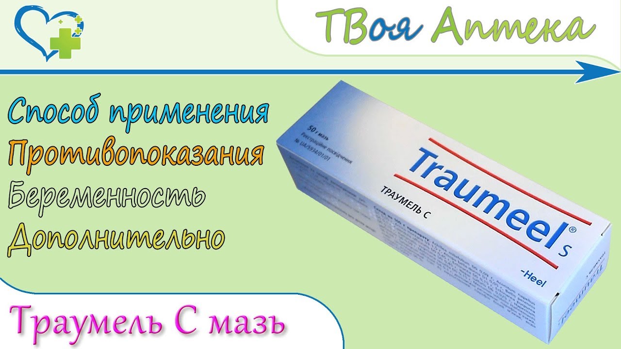 Траумель мазь аналоги. Траумель мазь аналоги дешевые. Траумель мазь. Траумель мазь при беременности.