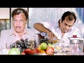 బ్రహ్మానందం చేసే కామెడీ చూస్తే మీలో మీరే నవ్వుకుంటారు | Brahmanandam SuperHit Telugu Comedy Scene