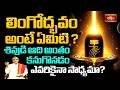 లింగోద్భవం అంటే ఏమిటి? శివుడి ఆది అంతం కనుగొనడం ఎవరికైనా సాధ్యమా? | Significance of Maha Shivaratri